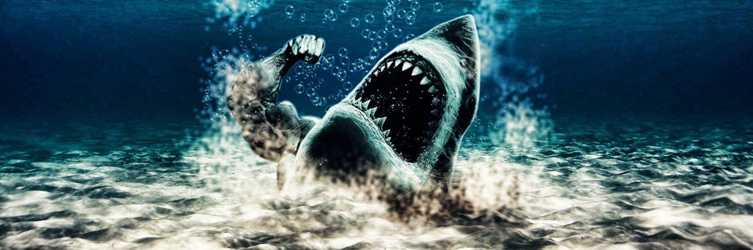 SharKrypto31's profile banner image
