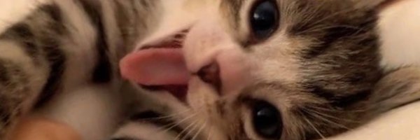 onnerB_ Profile Banner