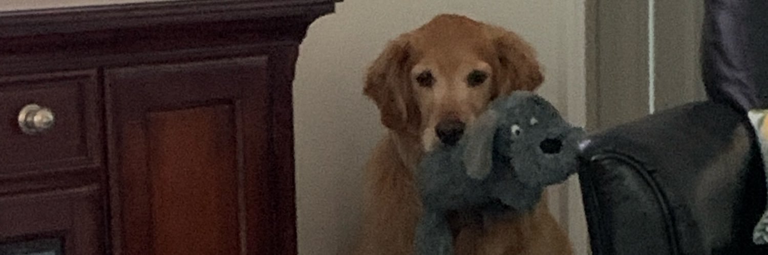Tara Louise banner