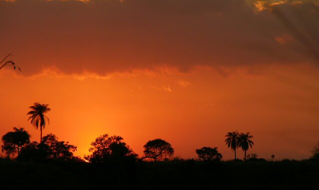 ADRIANA CARRILLO banner