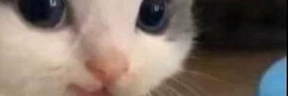 _vlvdut__'s profile banner image