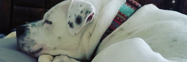 nicolen_mn Profile Banner