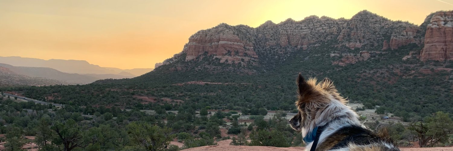 Erika Andiola banner