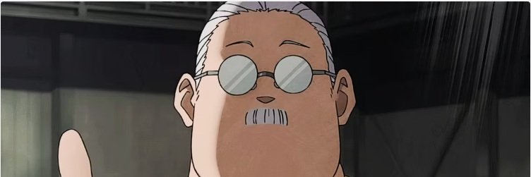 Zibi banner