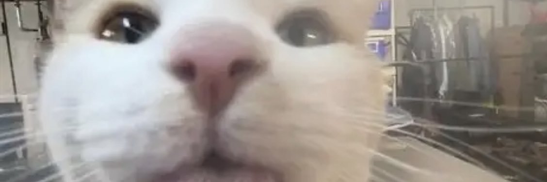 jimmyisrighteous banner