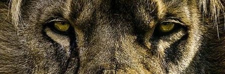 comoteplazca's profile banner image