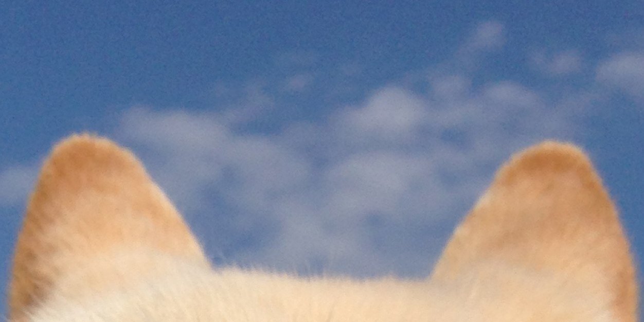 れっさー（肺年齢＋11歳） banner