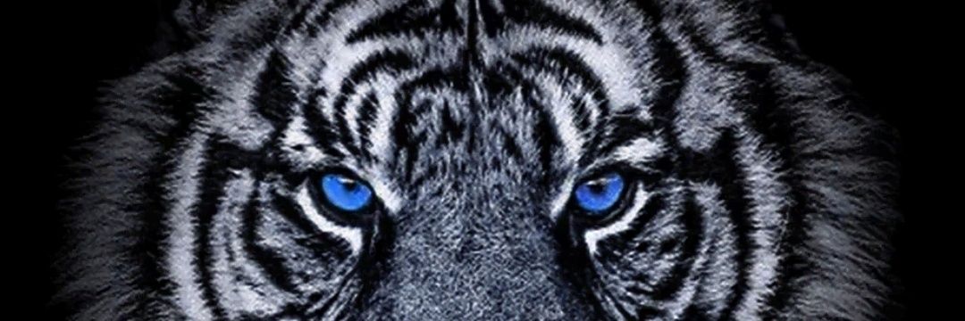GabiN_37's profile banner image