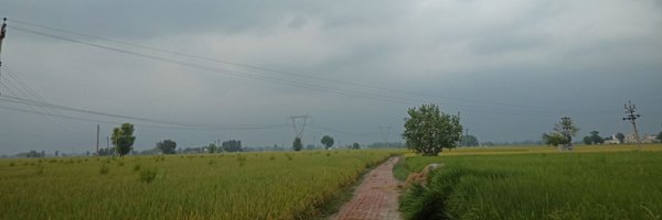 archismanmitra Profile Banner