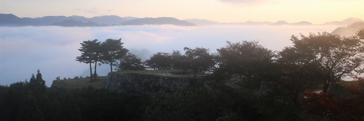 tajimaex's profile banner image