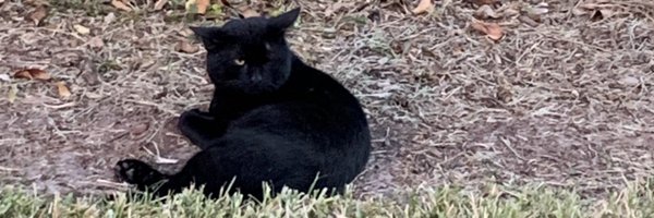 KFCGaming55 Profile Banner
