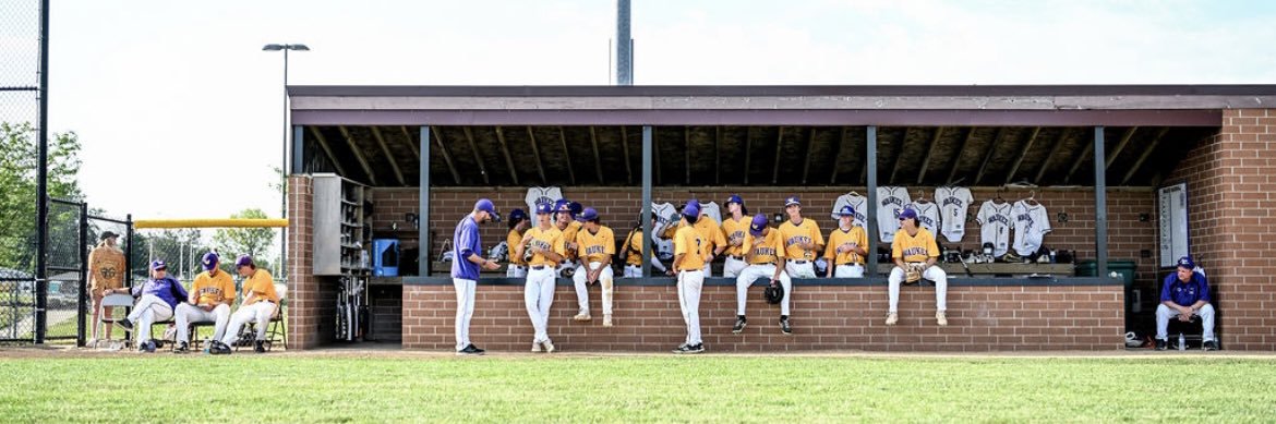 Waukee Baseball banner