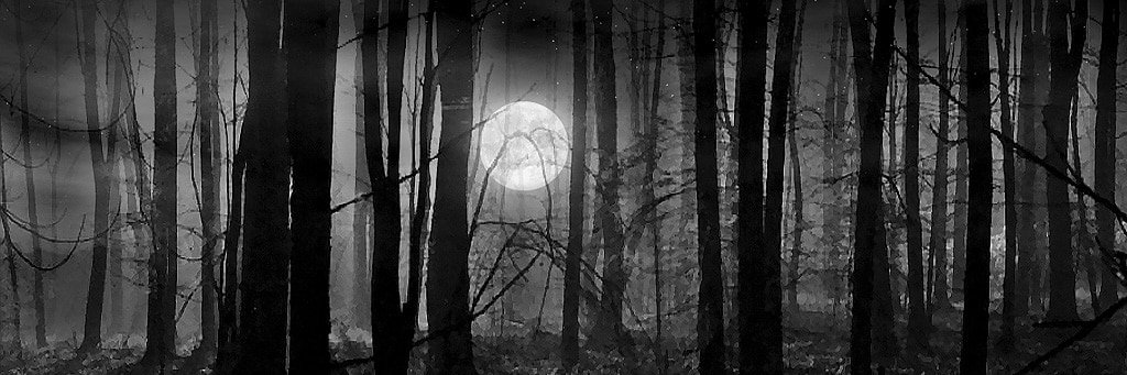 callidus_caeco's profile banner image