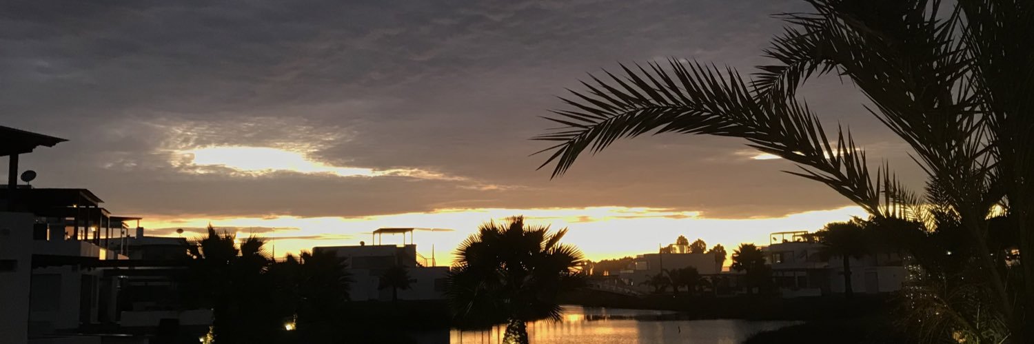 ari_cerronb's profile banner image