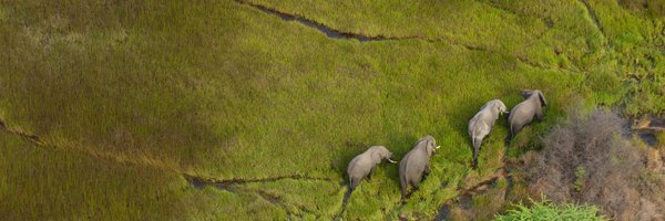 SOUL_Okavango Profile Banner