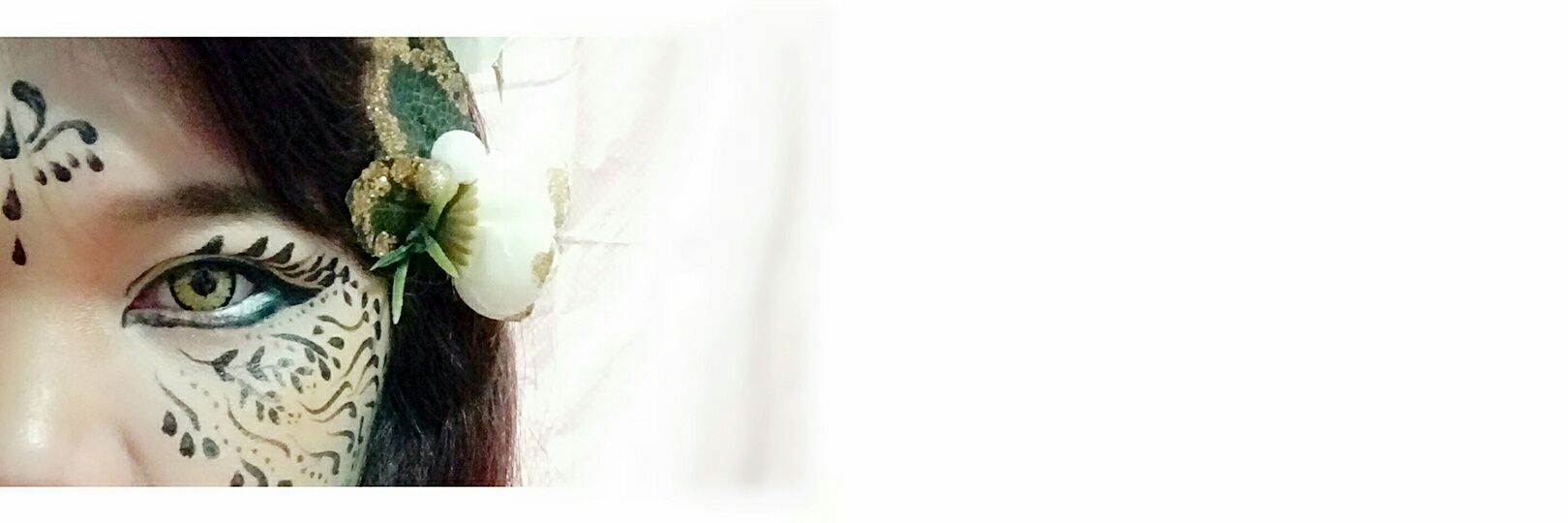 anicatsaholic's profile banner image