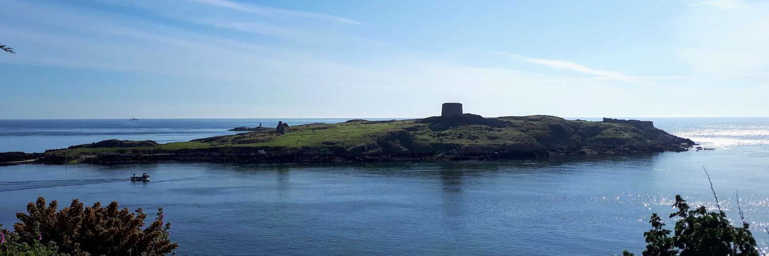 Clean Air Dublin banner
