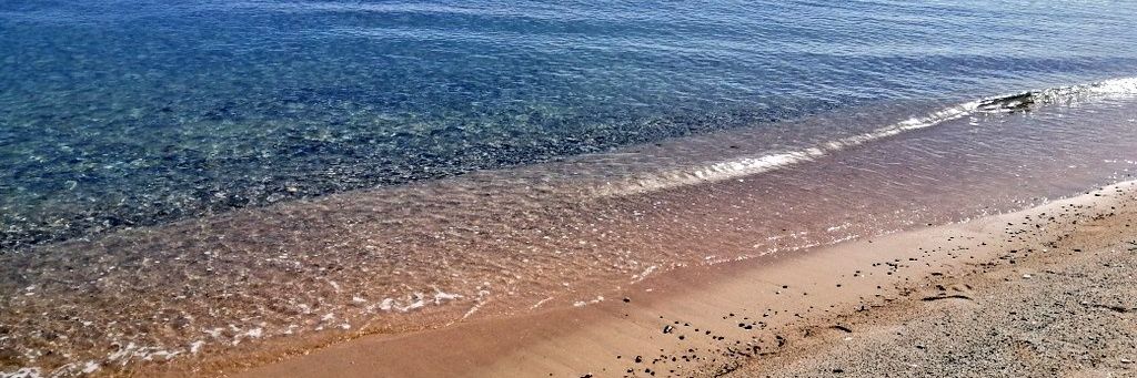 Brankica iz opštine banner