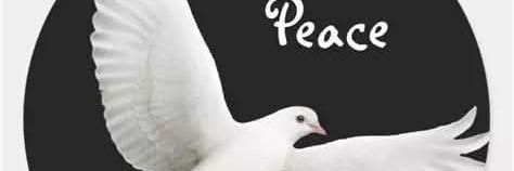 Marie line Serpagli banner