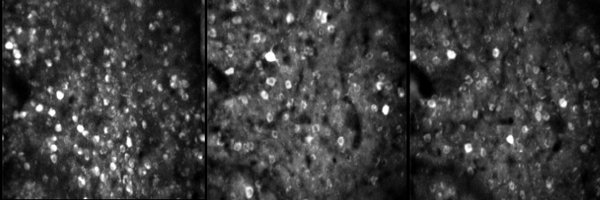 TheMini2P Profile Banner