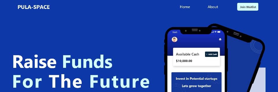 PULASPACEFUND banner