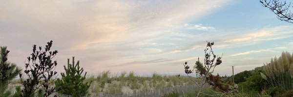 matt_toal Profile Banner