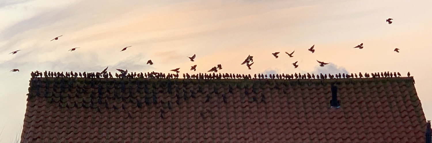 Leoniet77's profile banner image