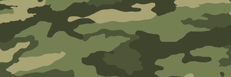 ᴏᴜᴛꜱɪᴅᴇ ⋆·˚ ༘ *'s banner