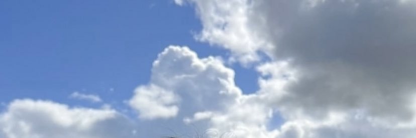 ‏ﻧُﮭَـێ ‏ banner