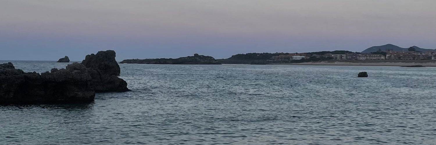 sandri banner