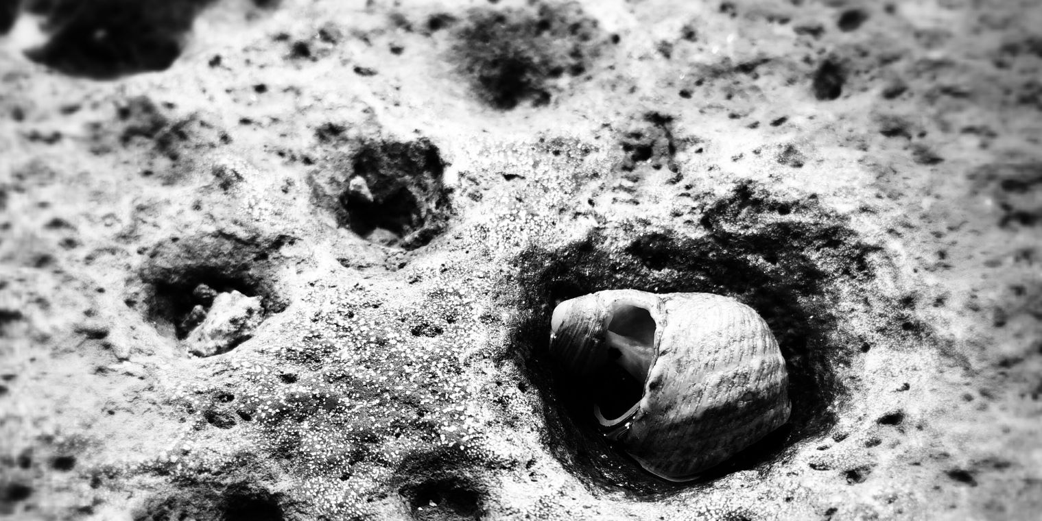 rahul_age's profile banner image