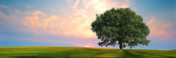 fatihhayri Profile Banner
