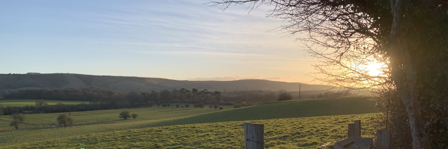 Alice Walker RD banner