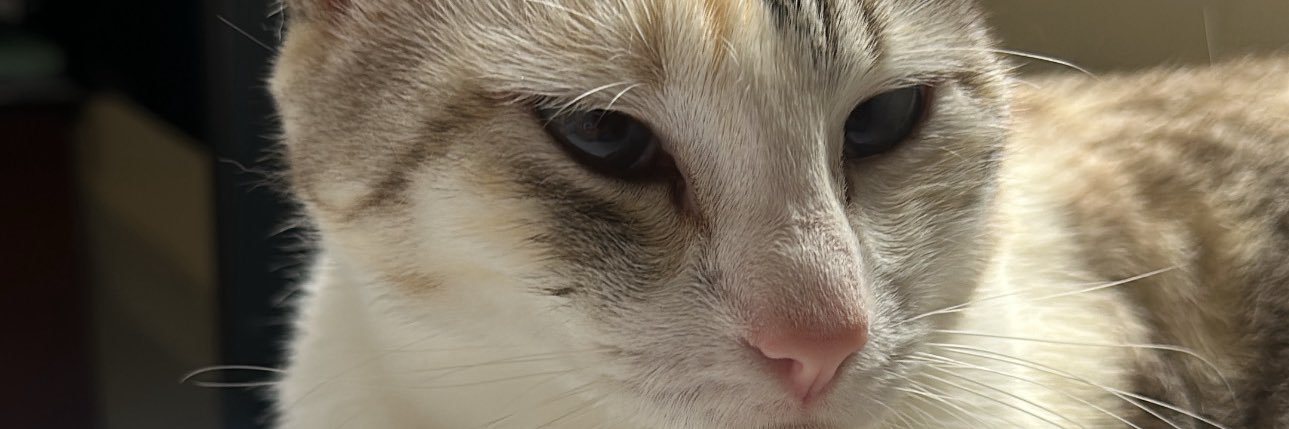 cIumsyqueen's profile banner image