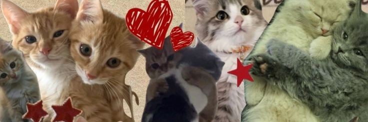 kiko 🦕 banner