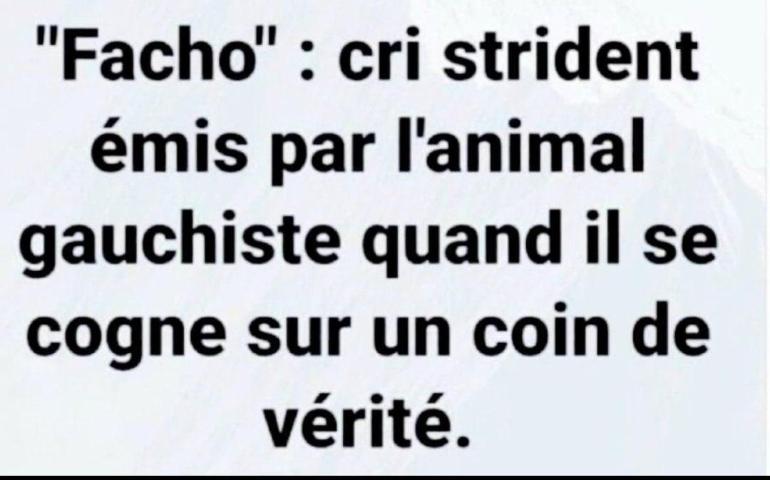 fatou banner