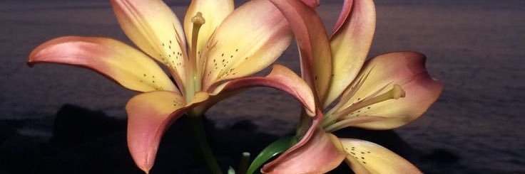 GucluInci's profile banner image