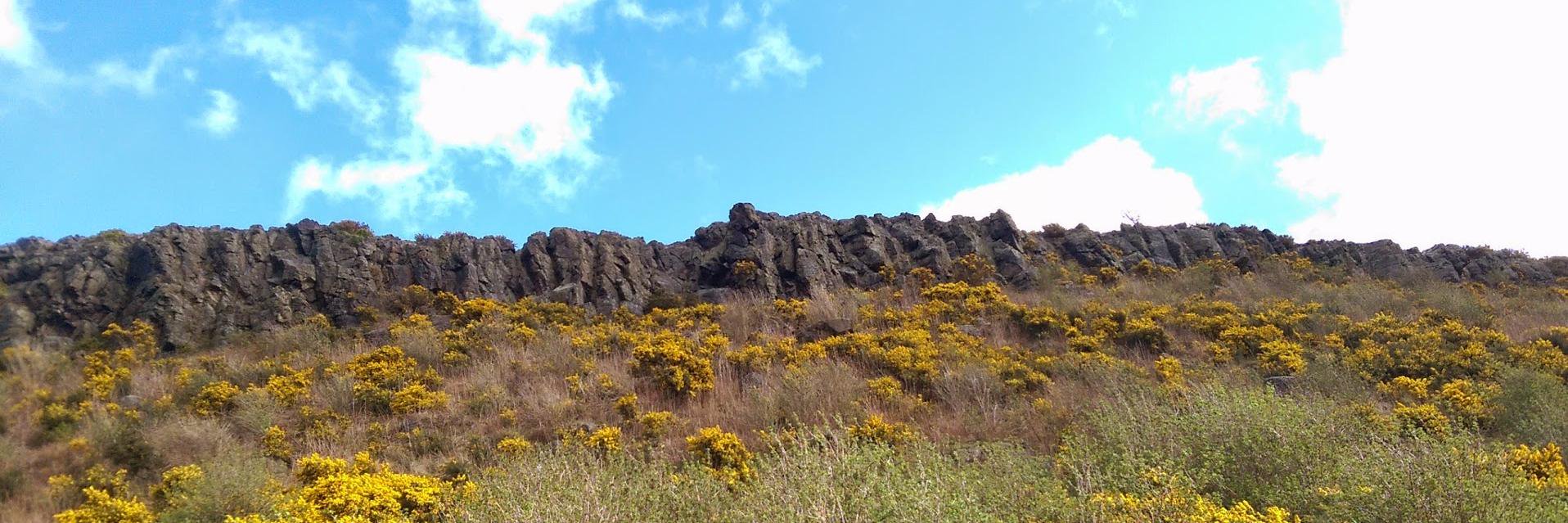 Hilde Frydnes banner
