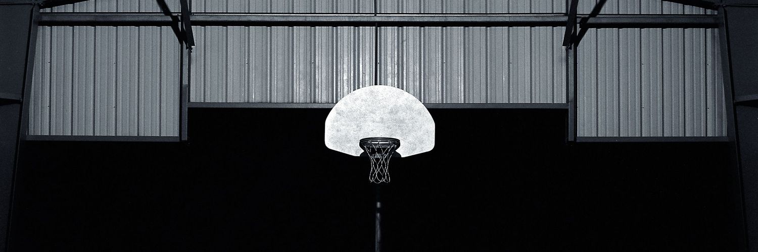 BruceLevi.NFT banner