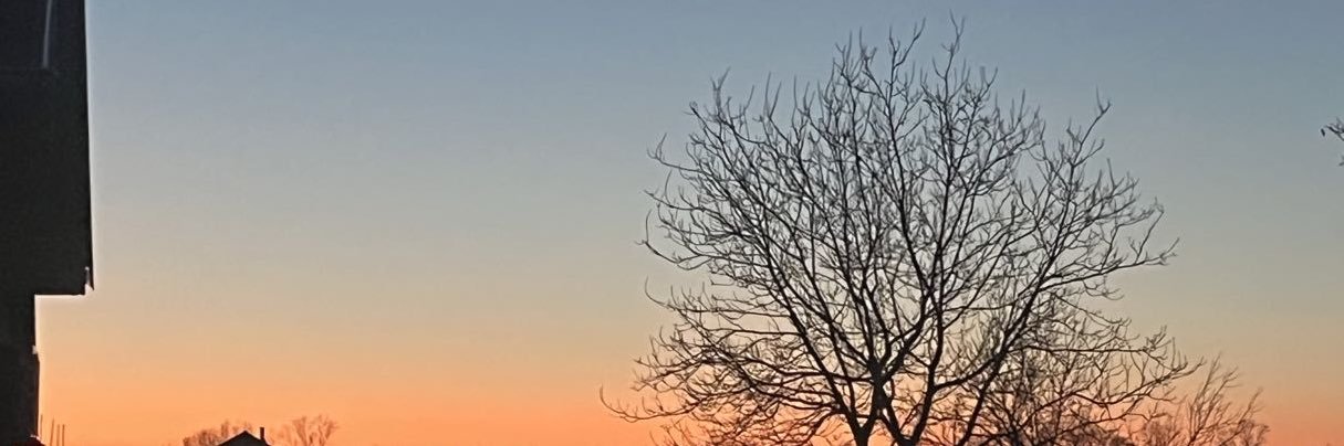 juliet banner