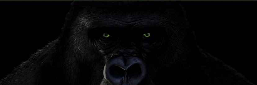 Noah “ 1k “ Warner's banner