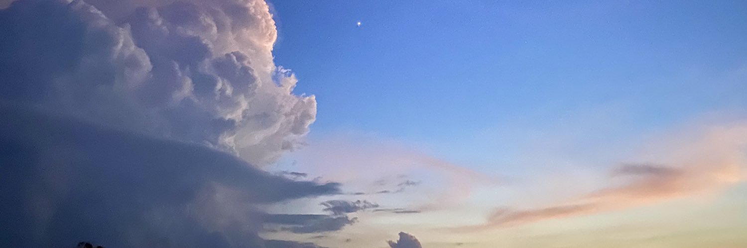 bchblossom's profile banner image