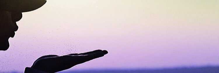 Nees21's profile banner image