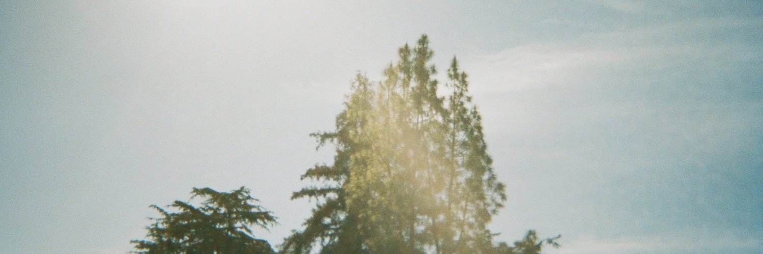 ammngn's profile banner image