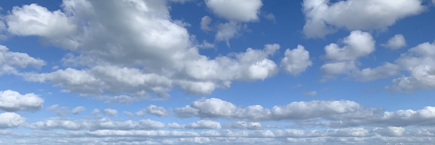 Valentin Valtchev banner