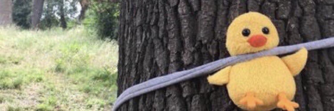 MerveEser1903's profile banner image