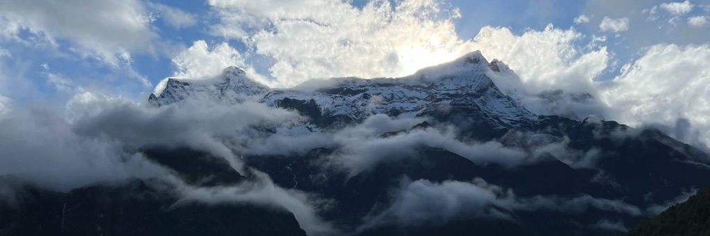 Max Gorin 🌱 banner