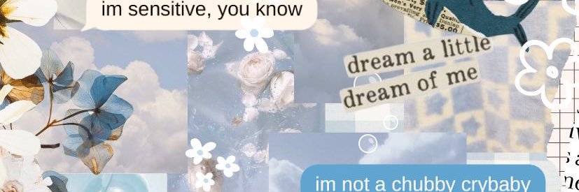 𝔟𝔲𝔟𝔟𝔩𝔢𝔰 🫧 - 𝑑𝑚𝑠 𝑜𝑝𝑒𝑛! banner