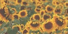 jmonicass's profile banner image