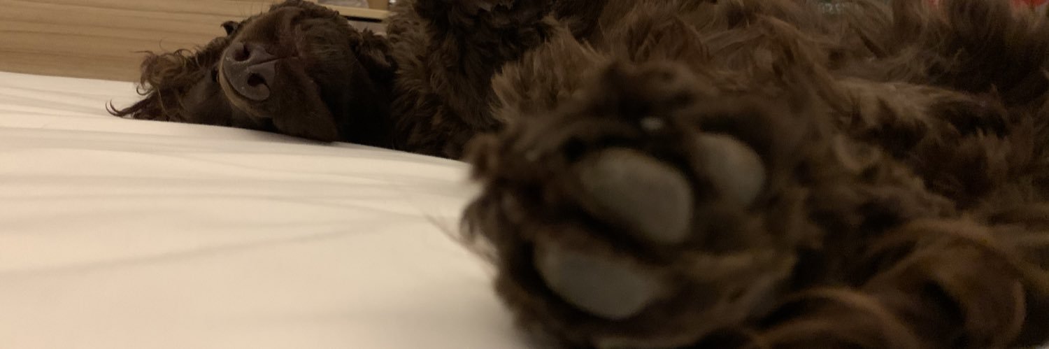 fryless's profile banner image